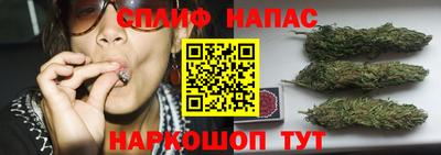 круглые Сланцы