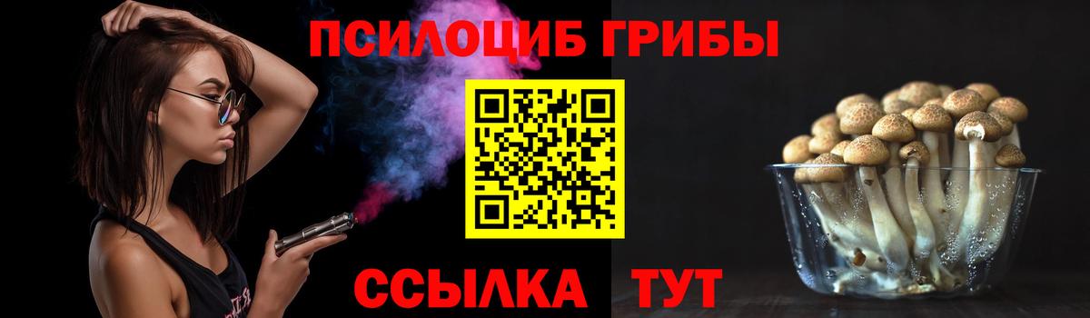 Галлюциногенные грибы Cubensis Ахтубинск